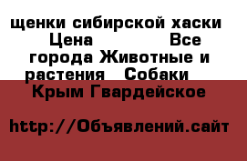 щенки сибирской хаски  › Цена ­ 10 000 - Все города Животные и растения » Собаки   . Крым,Гвардейское